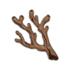 Coral Branch of a Distant Sea