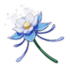 Glaze Lily
