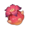 Henna Berry