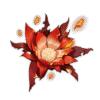 Molten Moment