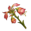 Mourning Flower