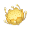 Nilotpala Lotus