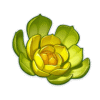 Primordial Greenbloom