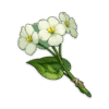 Qingxin