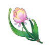Rainbow Rose