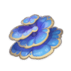 Rukkhashava Mushrooms