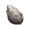 Sand Grease Pupa