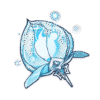 Spectral Nucleus