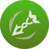 Genshin character elemental skill - Tighnari