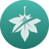 Genshin character elemental skill - Kaedehara Kazuha