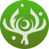 Genshin character elemental skill - Lauma
